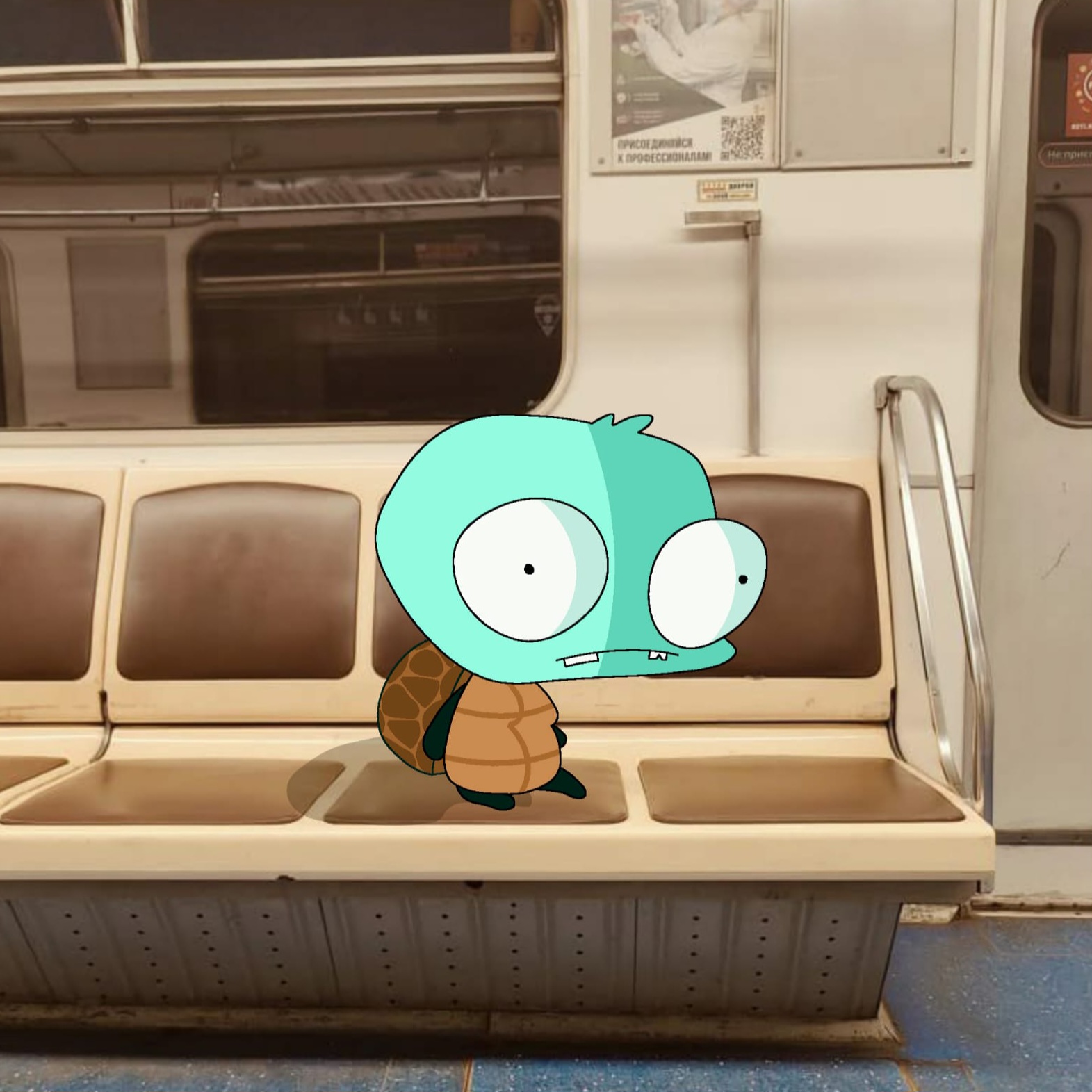 Turtle on subway